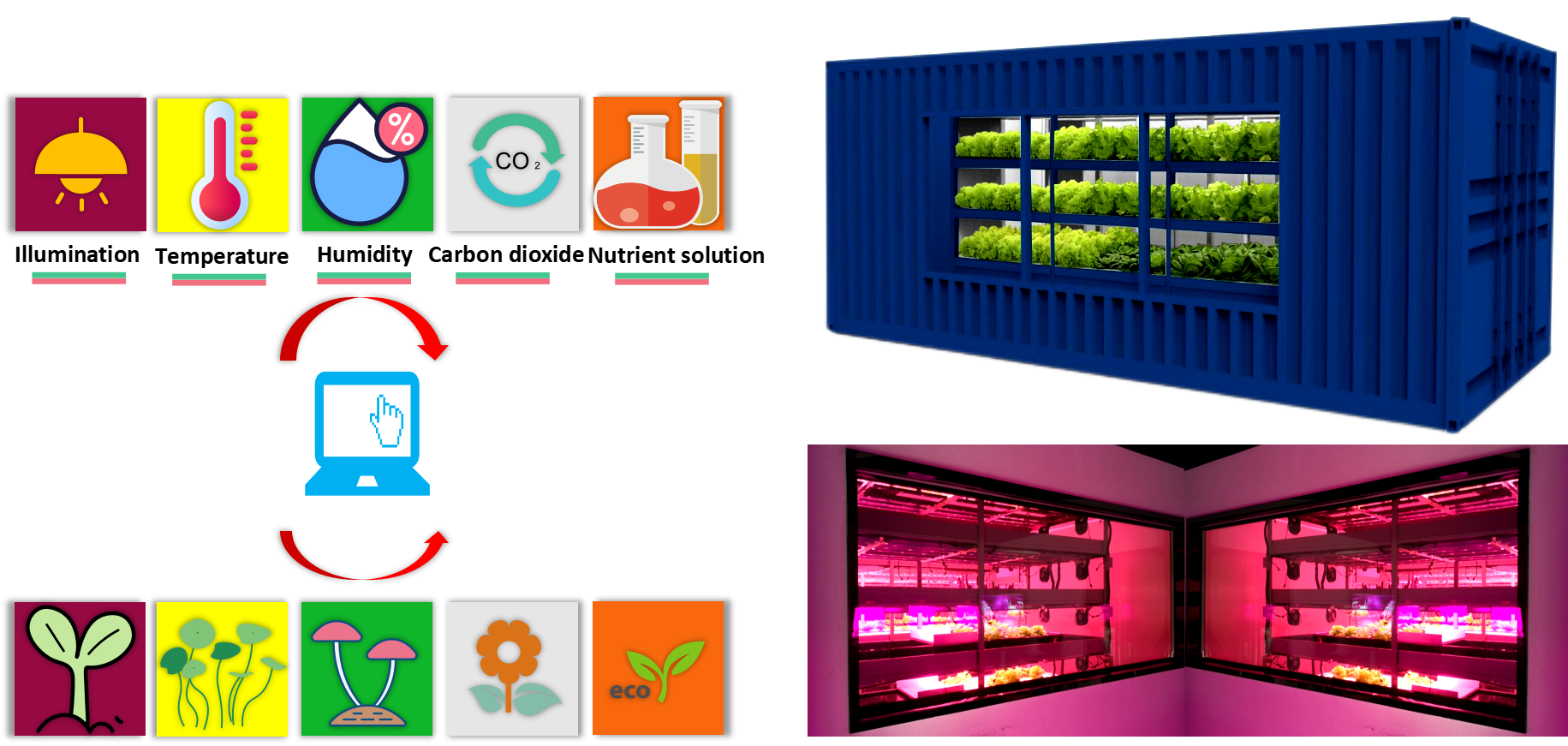 水肥一體化 水肥一體化