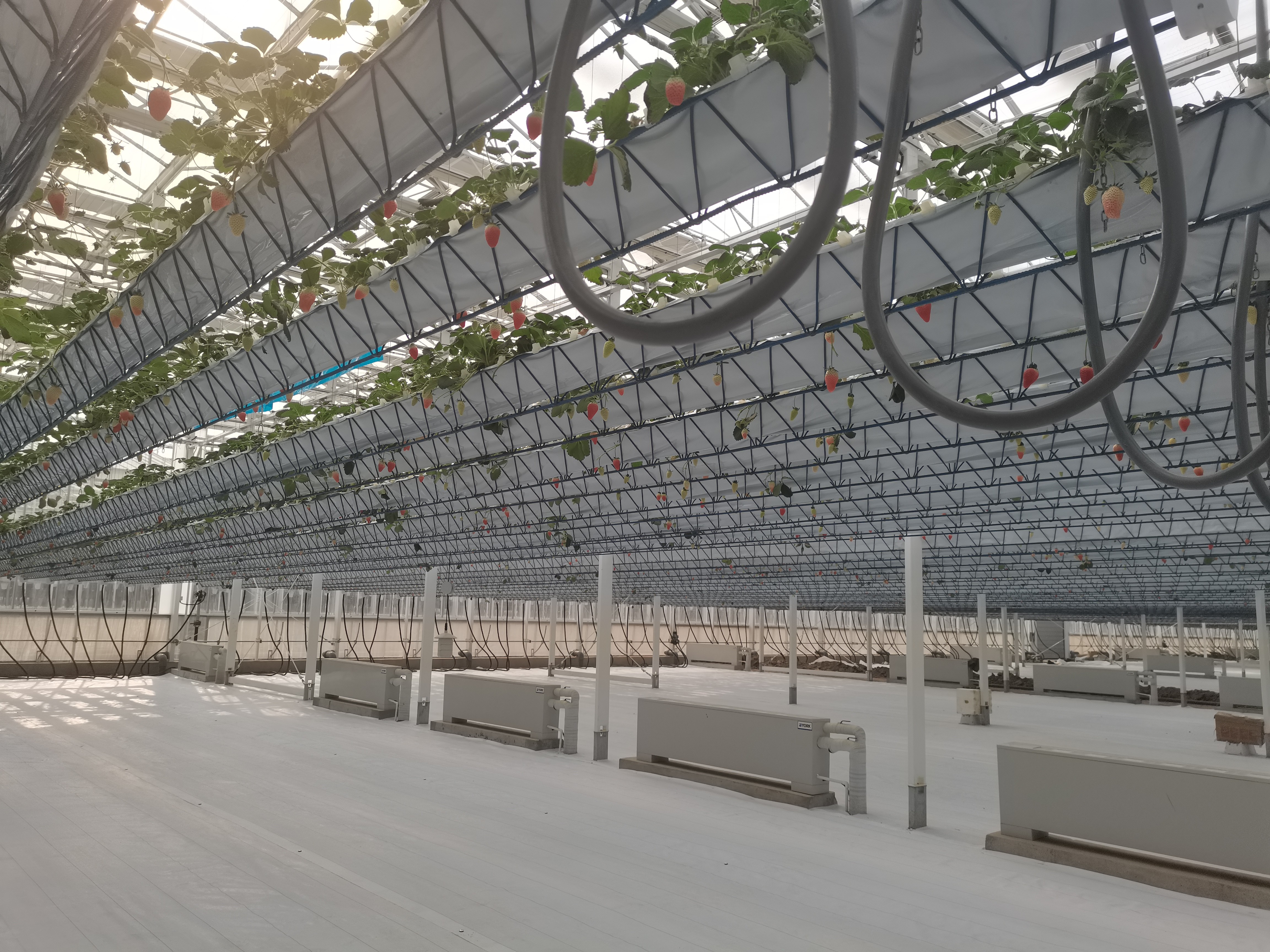 水肥一體化 水肥一體化